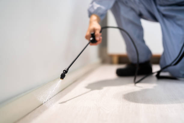 Licensed Wasp Removal service in Attalla, AL - Show Me Pest Control