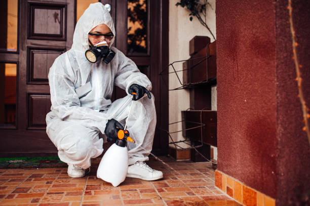 Reliable Wasp Removal contractor in Attalla, AL by Show Me Pest Control